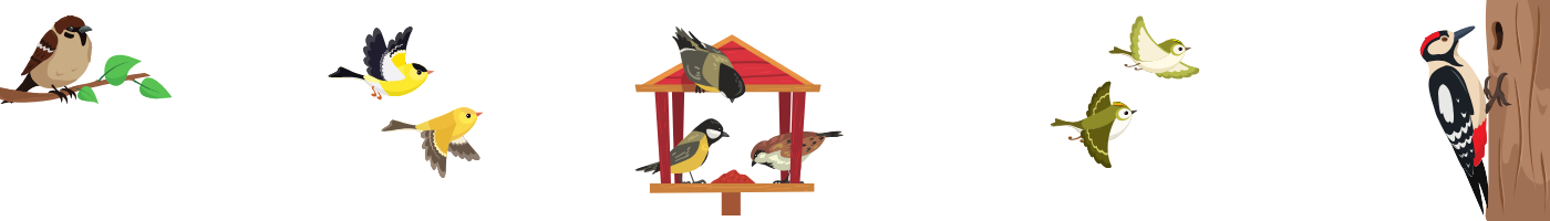 cartoon birds at feeder and flying