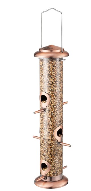 Tube Feeder with a small bird
