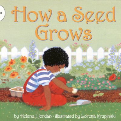 How a Seed Grows cover