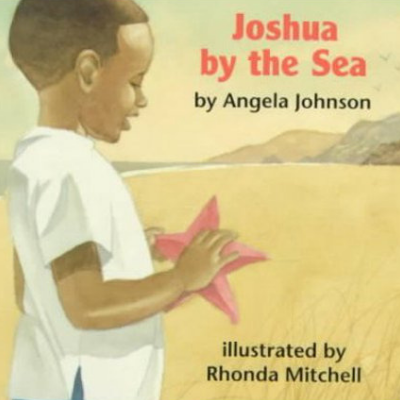Joshua by the Sea cover