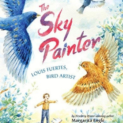Sky Painter cover