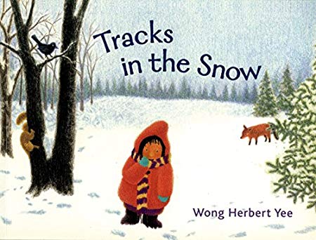 Tracks in the Snow cover