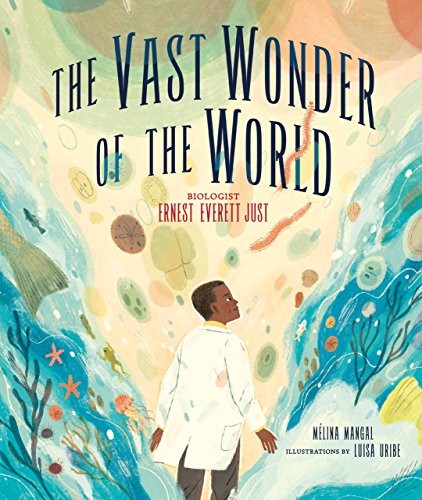 The Vast Wonder of the World cover