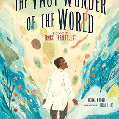 The Vast Wonder of the World cover