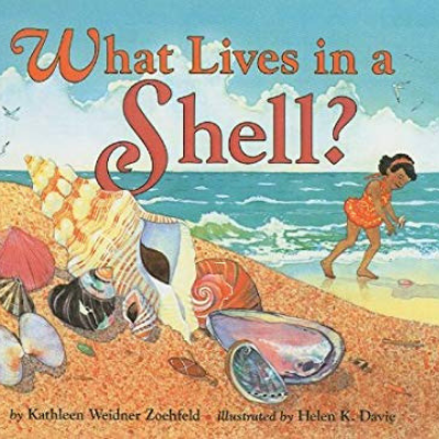 What Lives in a Shell cover